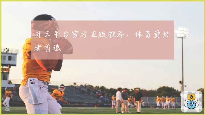 开云平台官方正版推荐,体育爱好者首选