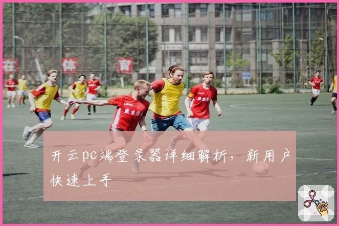 开云pc端登录器详细解析，新用户快速上手